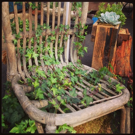 a seat in nature
